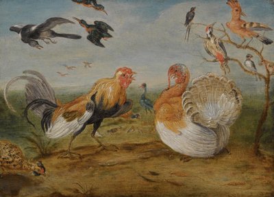 Paesaggio con un gallo e un tacchino che litigano, e altri volatili da Jan van Kessel the Elder